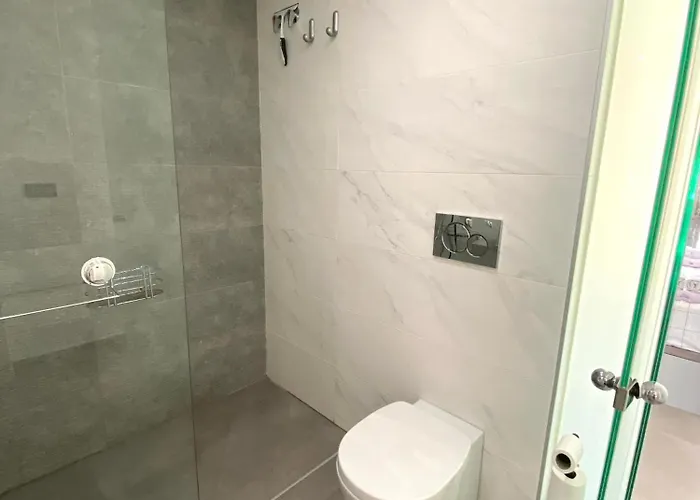 - Punta Prima Penthouse Oasis Vii 公寓 托雷维耶哈